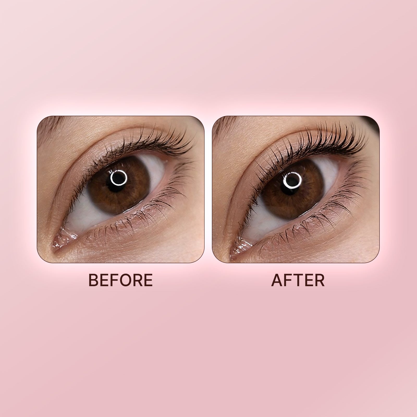 LashPLEX 2.0 Lash Care Kit — Repair & Nourishing Lash Treatment
